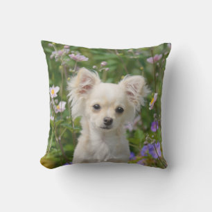 Niedlich Creme Chihuahua Dog Welpe Foto - Kissen Für Draußen