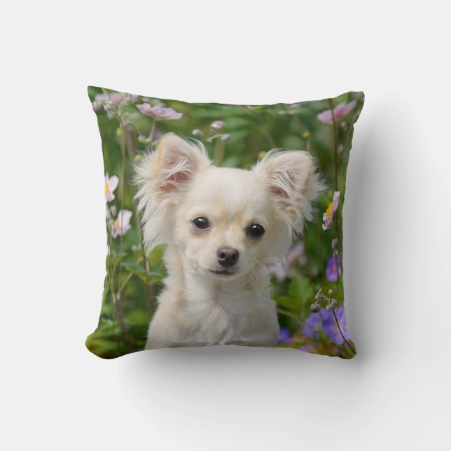 Niedlich Creme Chihuahua Hund Welpe Foto - Kissen (Vorderseite)
