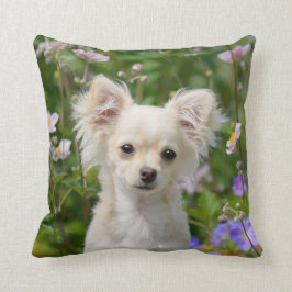 Niedlich Creme Chihuahua Hund Welpe Foto - Kissen