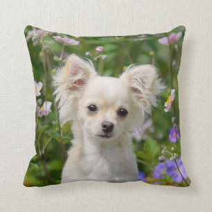 Niedlich Creme Chihuahua Hund Welpe Foto - Kissen