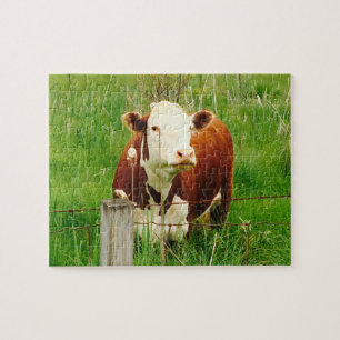 Niedlich Cudly Cow Friend 4Jeremy