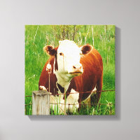 Niedlich Curry Cow 4Carrie