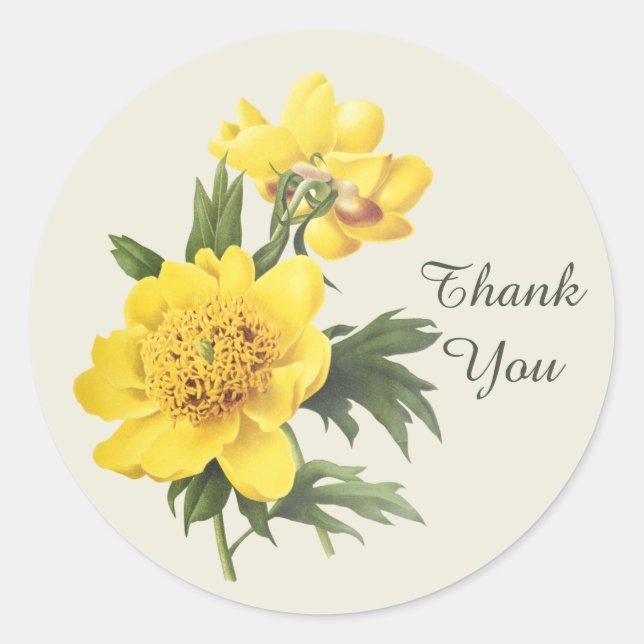 Niedlich danke Ihnen Blume Runder Aufkleber (Vorderseite)