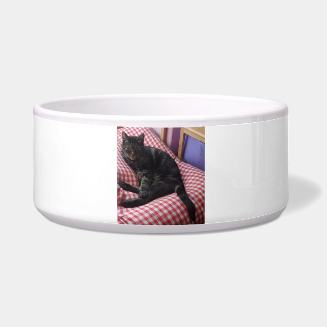 Niedlich Dave Large Pet Bowl Napf (Vorderseite)