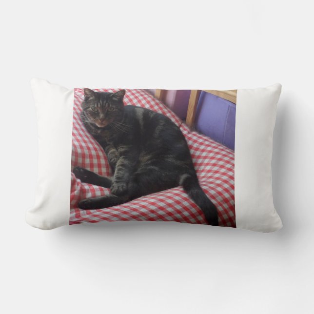Niedlich Dave Lumbar Pillow Lendenkissen (Vorderseite)