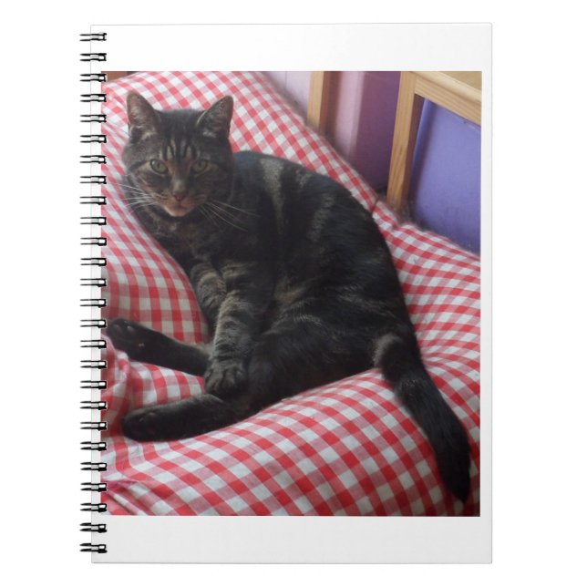 Niedlich Dave Spiral Notebook Notizblock (Vorderseite)