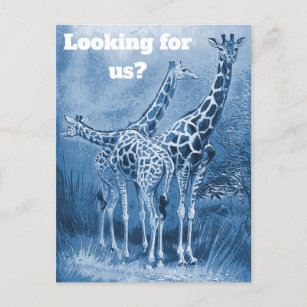 Niedlich Delft Blue Giraffen Neue Adressenverschie Postkarte