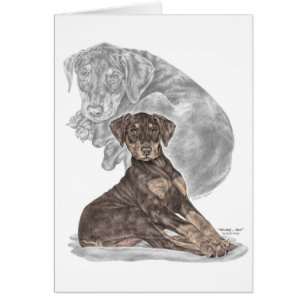 Niedlich Doberman Pinscher Puppy