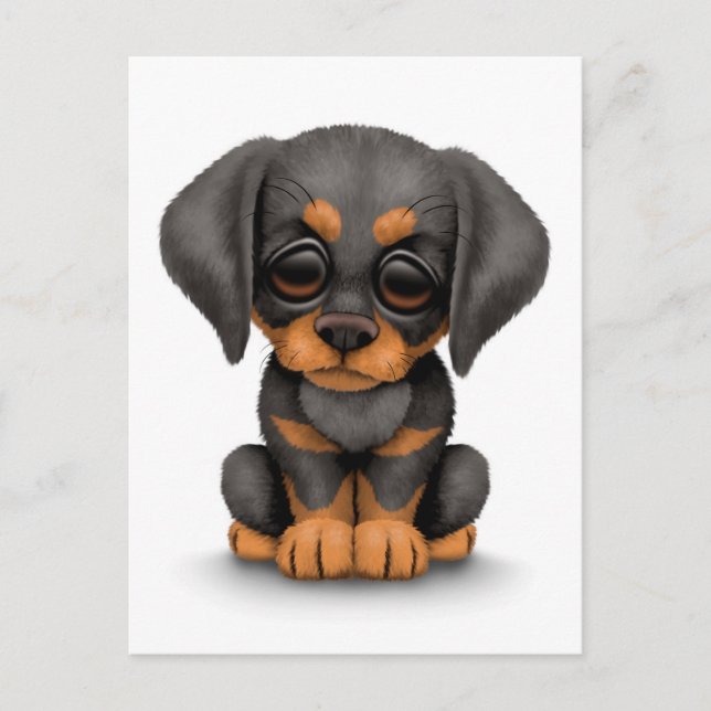 Niedlich Doberman Pinscher Puppy Dog auf White Postkarte (Vorderseite)