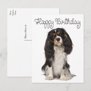 Niedlich Dog Cavalier King Charles Spaniel Birthda Postkarte