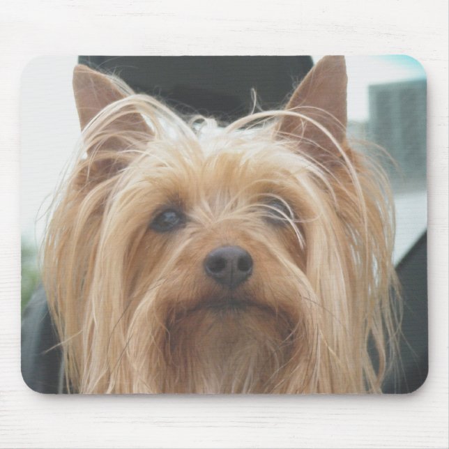 Niedlich Doggie Mousepad (Vorne)