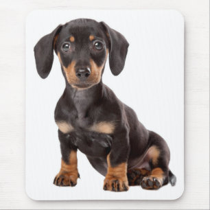 Niedlich Doxin Welpe Dackel Liebe Hunde Mama Dacke Mousepad