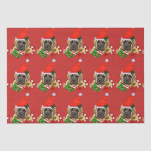 Niedlich English Mastiff Weihnachten Seidenpapier