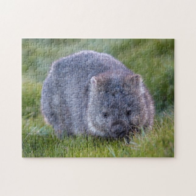 Niedlich Exotic Wombat Animal Wildlife, 252 Stück (Horizontal)