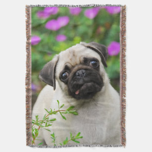 Niedlich Fauna Mops Welpe im Garten Decke