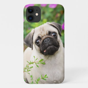 Niedlich Fawn Colown Mops Puppy Dog Face Pet Foto  Case-Mate iPhone Hülle