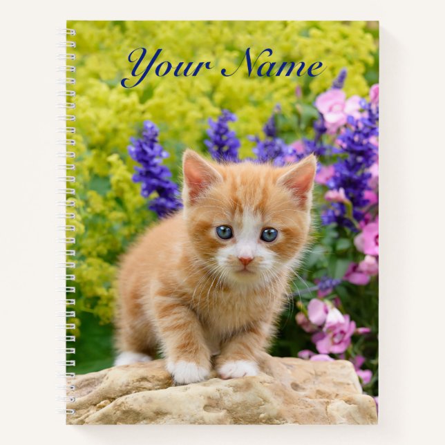 Niedlich Fluffy Ginger Baby Cat Kitten Blume - Nam Notizbuch (Vorderseite)