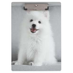 Niedlich fluffy Japanese Spitz Welppy Klemmbrett