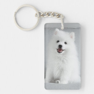 Niedlich fluffy Japanese Spitz Welppy Schlüsselanhänger