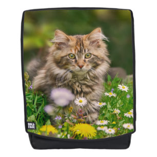 Niedlich Fluffy Maine Coon Kitten Cat in Blume Fot Rucksack