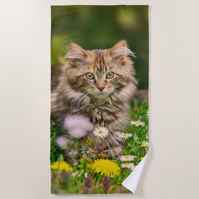Niedlich Fluffy Maine Coon Kitten Cat in Blume Fot Strandtuch (Vorderseite)