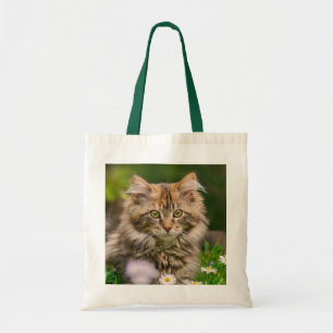 Niedlich Fluffy Maine Coon Kitten Cat in Blume Fot Tragetasche