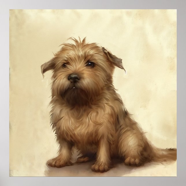 Niedlich Fluffy Norfolk Terrier Art Poster (Vorne)