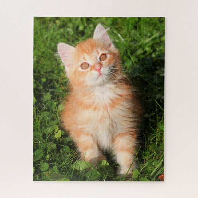 Niedlich Fluffy Orange Tabby Cat Kitten (Vertikal)