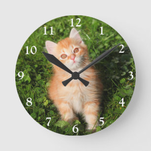 Niedlich Fluffy Orange Tabby Cat Kitten Runde Wanduhr