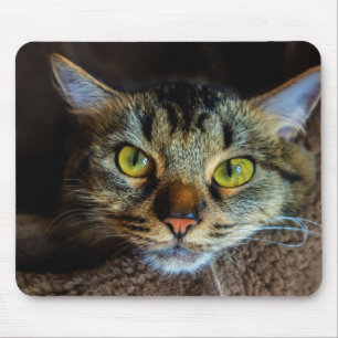Niedlich Fluffy Tabby Cat Mousepad