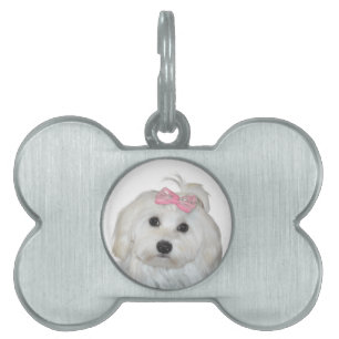 Niedlich Fluffy White Maltese Lili Tiermarke