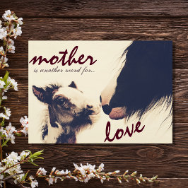 Niedlich Foal and Mare Horse Happy Mother Day Karte