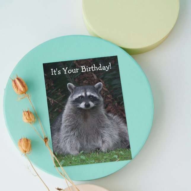 Niedlich Forest Raccoon Foto Funny Birthday Karte (In Situ)