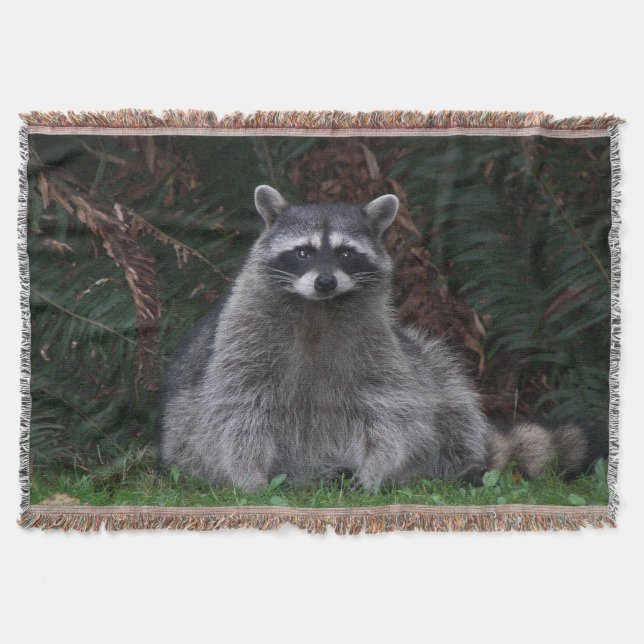 Niedlich Forest Raccoon Wildlife Foto Decke (Vorderseite)