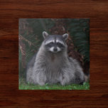 Niedlich Forest Raccoon Wildlife Foto Fliese<br><div class="desc">Für Naturliebhaber und Naturliebhaber! Keramik-Kachel mit dem Foto-Bild eines niedlichen Waldraccoon-positives für die Kamera. Wählen Sie Ihre Kachelgröße aus. Eine tolle Küche trivet!</div>