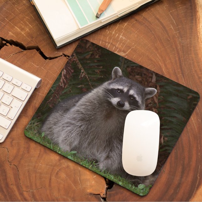 Niedlich Forest Raccoon Wildlife Foto Mousepad (In Situ)