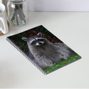 Niedlich Forest Raccoon Wildlife Foto Notizblock