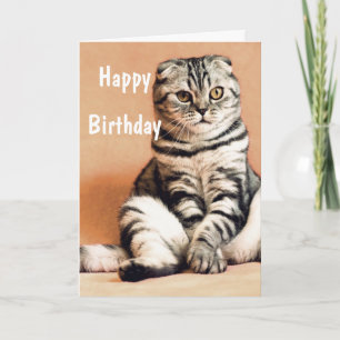 Niedlich Funny Cat Happy Birthday Karte