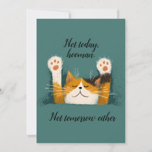 Niedlich Funny Cat Nickerchen Ankündigung
