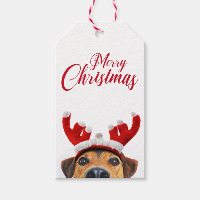 Niedlich Funny Christmas Hund Rentier Antler Headb Geschenkanhänger (Vorderseite)