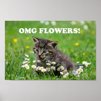 Niedlich Funny Kitten Liebende Blume Poster