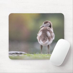Niedlich Gänseküken Foto Mouse Pad Mousepad