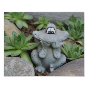 Niedlich Gartenfrosch Sukkulentgarten 8x10 Fotodruck