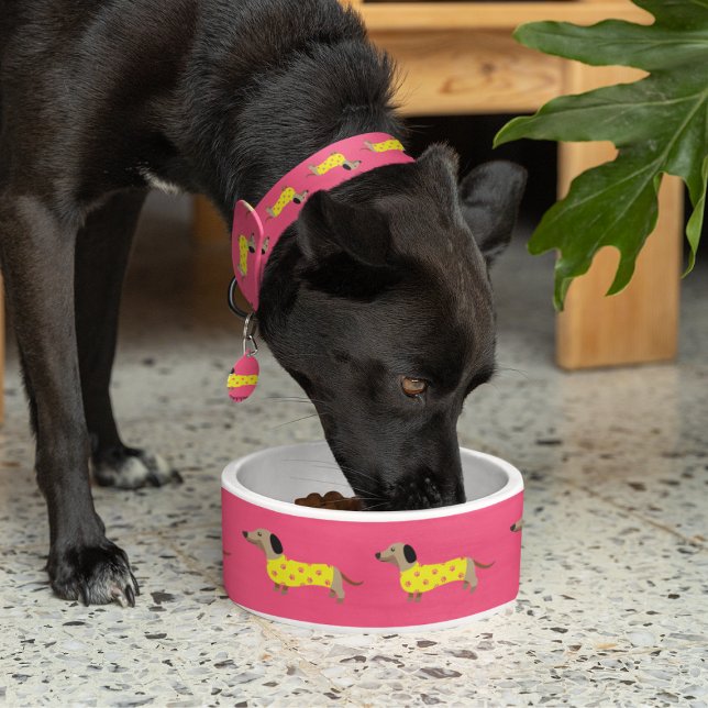 Niedlich Gelbe und rosa Dackel Hund Funny Napf (Von Creator hochgeladen)