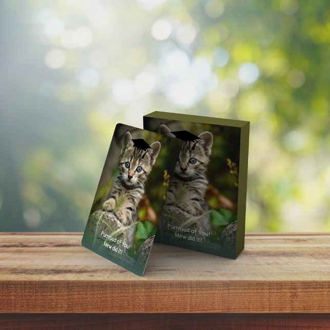 Niedlich Geschlossen Kitten Spielkarten (Von Creator hochgeladen)