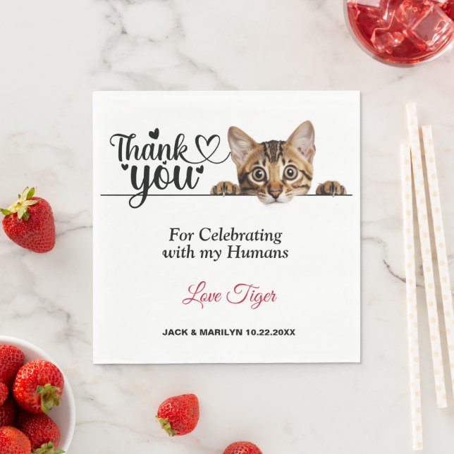 Niedlich gestricheltes Katzenpapier Napkins Serviette (Beispiel)