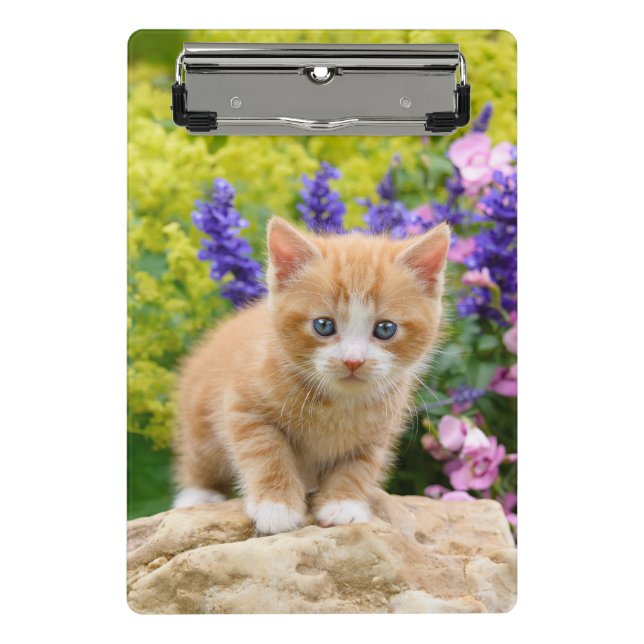 Niedlich Ginger Cat Kitten Blumengarten Portrait o Mini Klemmbrett (Vorderseite)