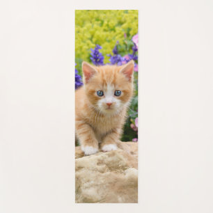 Niedlich Ginger Cat Kitten im Blumengarten Portrai Yogamatte