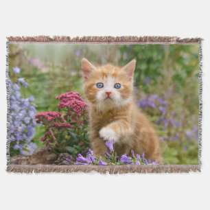 Niedlich Ginger Cat Kitten im Garden Foto Portrait Decke