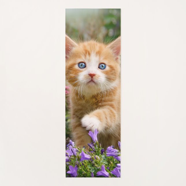 Niedlich Ginger Cat Kitten im Garden Foto Portrait Yogamatte (Vorderseite)